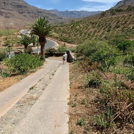 Masai Mara Gran Canaria *